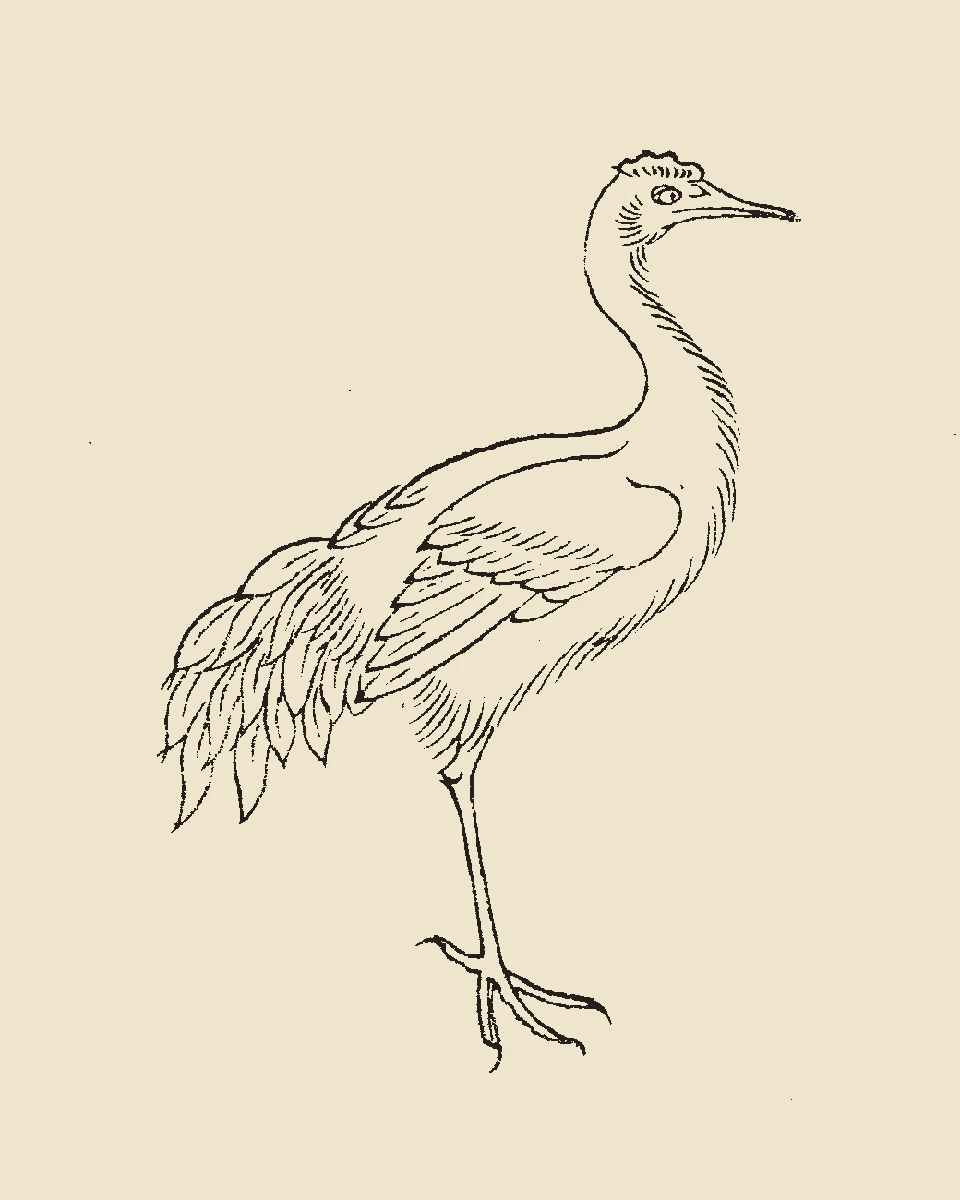 Woodblock print from the Gujin Tushu Jicheng showing Bifang, a crane-like bird standing on a single leg