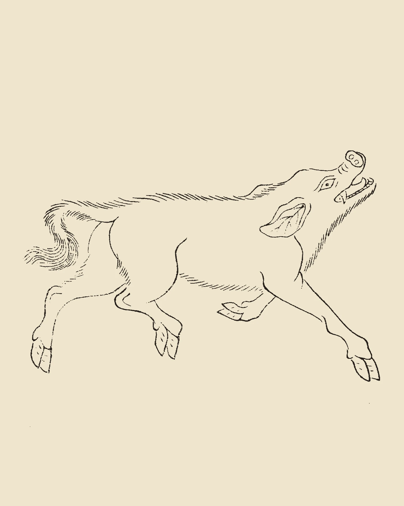 Woodblock print from Gujin Tushu Jicheng showing Dangkang, a tusked wild boar running