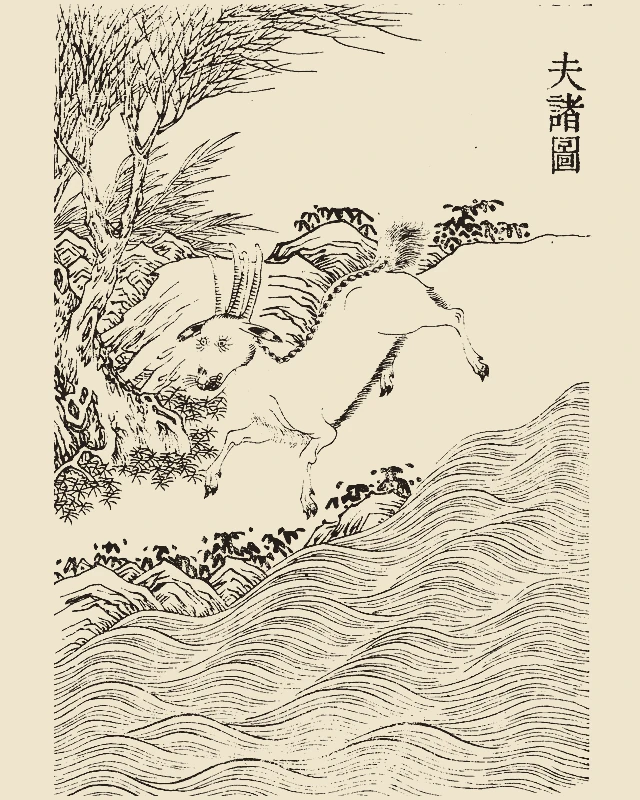 Fuzhu