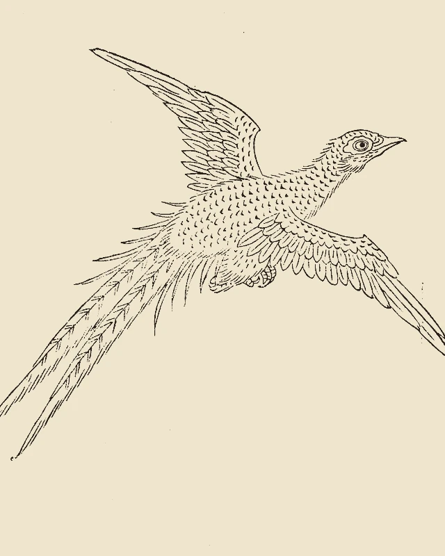 Jingwei, the Sea-Filling Bird