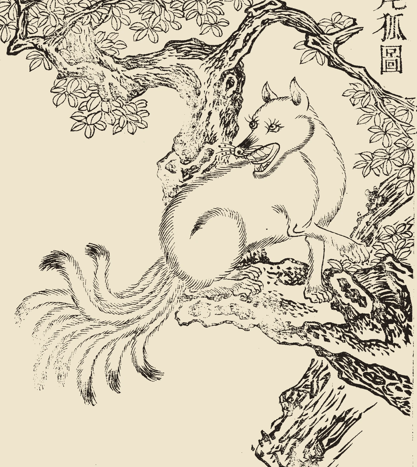 Nine-Tailed Fox
