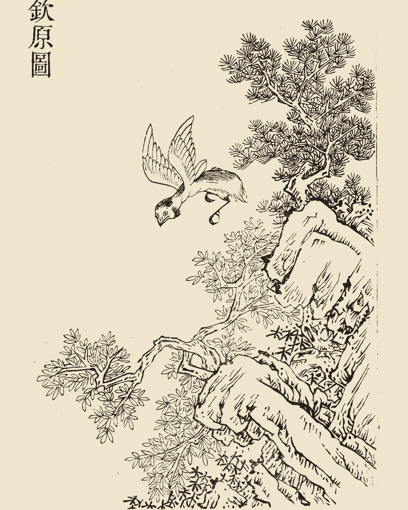 Woodblock print from Gujin Tushu Jicheng showing Qinyuan, a wasp-shaped bird swooping down from a pine crag