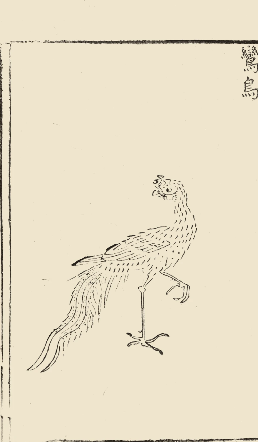 Hu Wenhuan, Newly Carved Classic of Mountains and Seas, 1593, juan 2, PDF page 101, inscribed 'Luan Niao'
